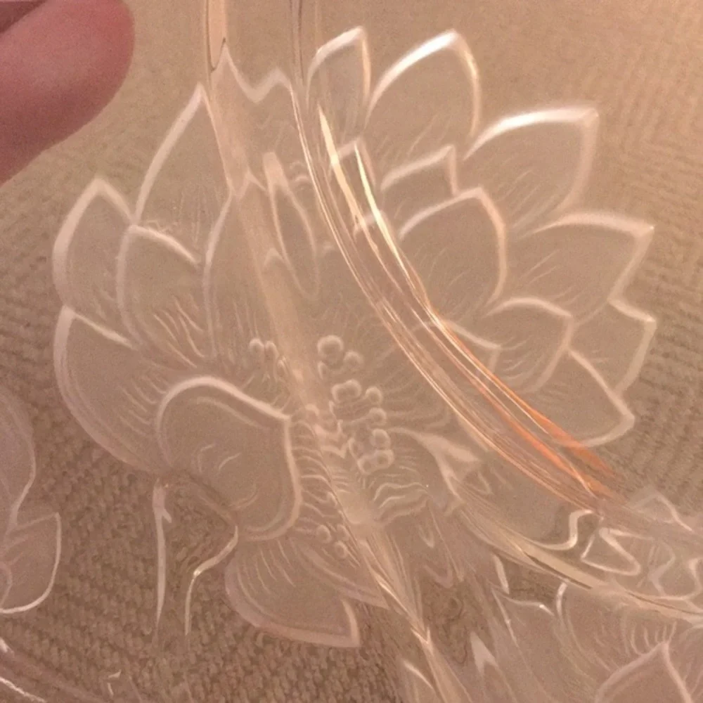Chrysanthemum 13
